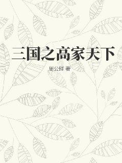 三国之高家天下