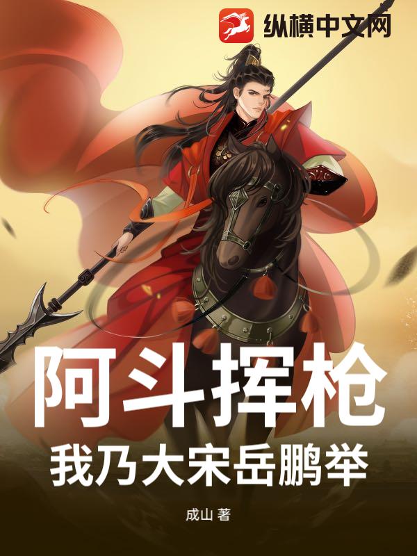 阿斗挥枪，我乃大宋岳鹏举小说