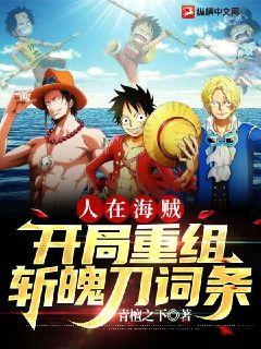 人在海贼：开局重组斩魄刀词条