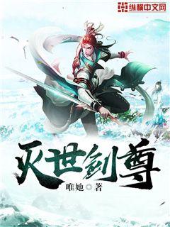 灭世剑尊小说