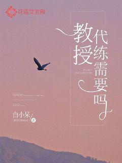 教授，代练需要吗？