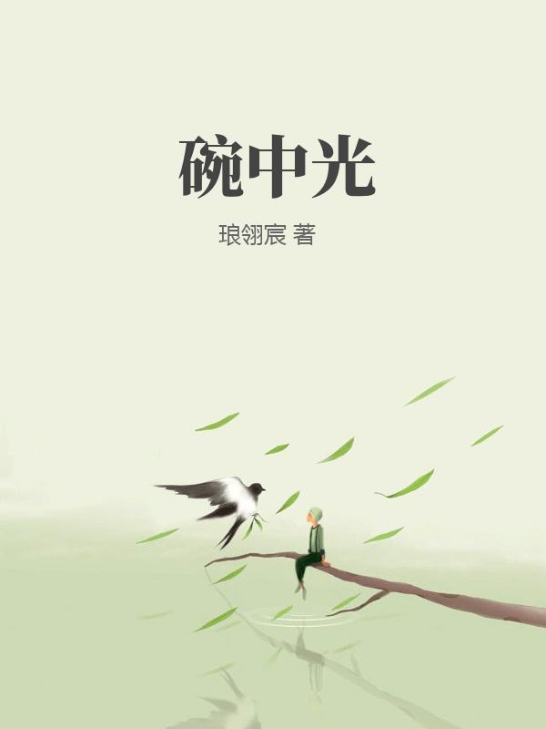碗中光