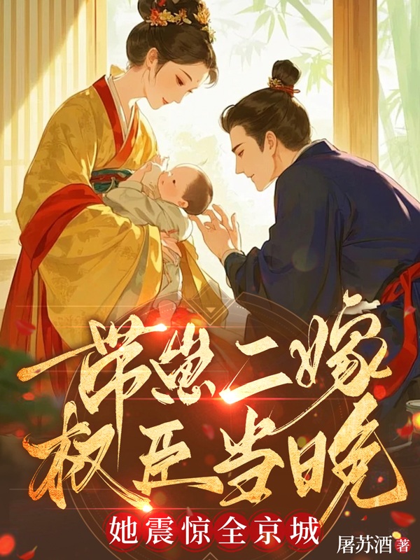 带崽二嫁权臣当晚，她震惊全京城