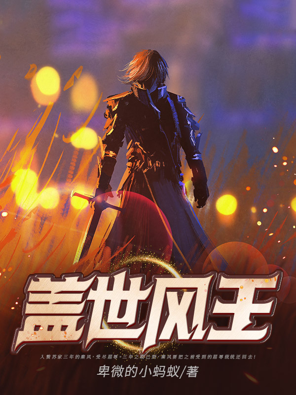 盖世风王
