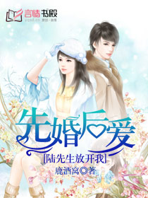 短剧中的深情演绎——恋爱陆先生，短剧中的深情演绎，恋爱陆先生的故事
