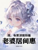 我，布莱泽奥特曼，老婆居间惠！