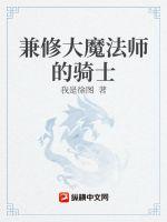 兼修大魔法师的骑士