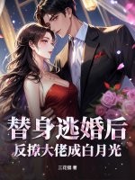 替身逃婚后，反撩大佬成白月光