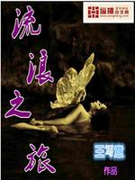流浪之旅