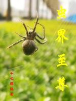 虫界至尊