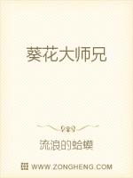 葵花大师兄