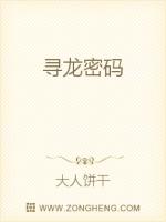 寻龙密码