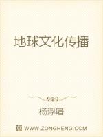 地球文化传播
