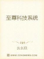 至尊科技系统