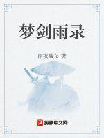 梦剑雨录