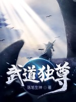 武道独尊