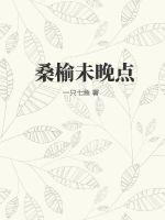 桑榆未晚点