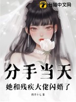 分手当天，她和残疾大佬闪婚了