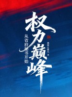 权力巅峰：从省府秘书开始