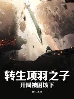 转生项羽之子，开局被困垓下