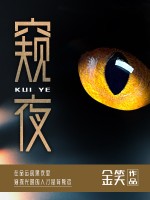 窥夜