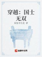 穿越：国士无双