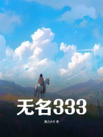 无名333