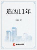 追凶11年