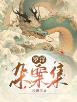 罗浮杂案集