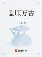 盖压万古