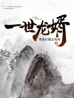 一世龙婿