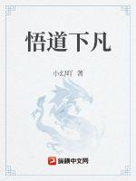 悟道下凡