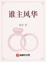 谁主风华