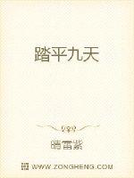 踏平九天