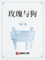 玫瑰与狗