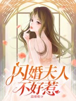 闪婚夫人不好惹