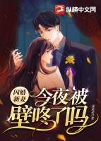 闪婚新妻今夜被壁咚了吗？