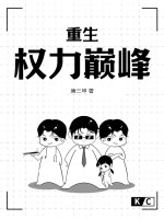 重生：权力巅峰