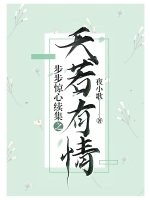 步步惊心续集之天若有情