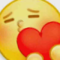 芒果果2