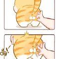 山棠