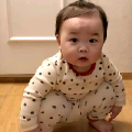 爱喝奶的啄木鸟