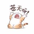 安知意