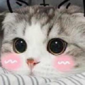 兰泽