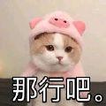 养喵的桃子1