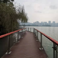 旭日东生