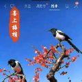 平安是福富贵安宁
