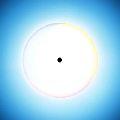 本太阳