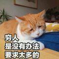 睡眠火山