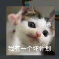 蓝色风暴